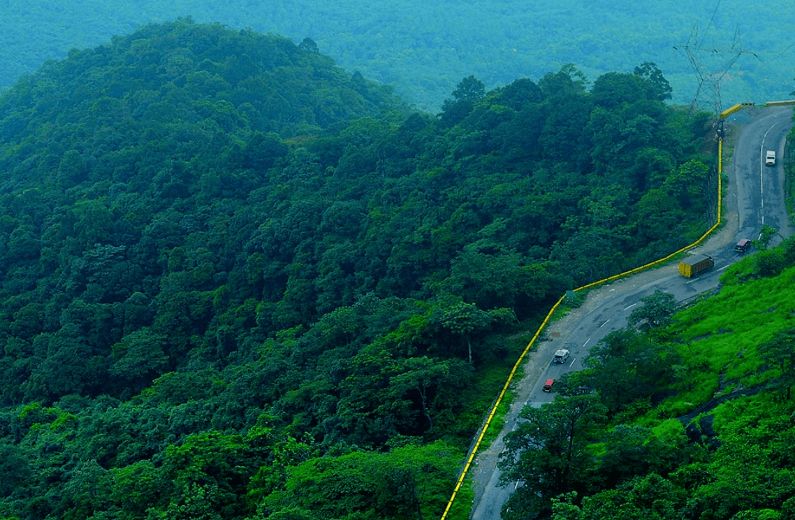 Bangalore to Wayanad Road Trip | Nature, Wildlife & Travel Guide