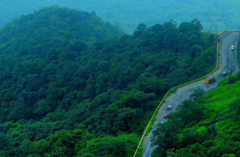 Bangalore to Wayanad Road Trip | Nature, Wildlife & Travel Guide