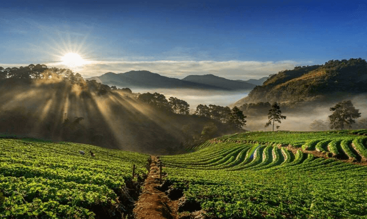 Innova Taxi from Bangalore to Coorg – Hill Station Travel Guide